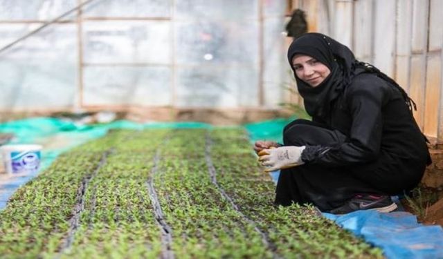FAO: Tarıma Yatırım Suriye’nin Geleceği İçin Hayati Önemde